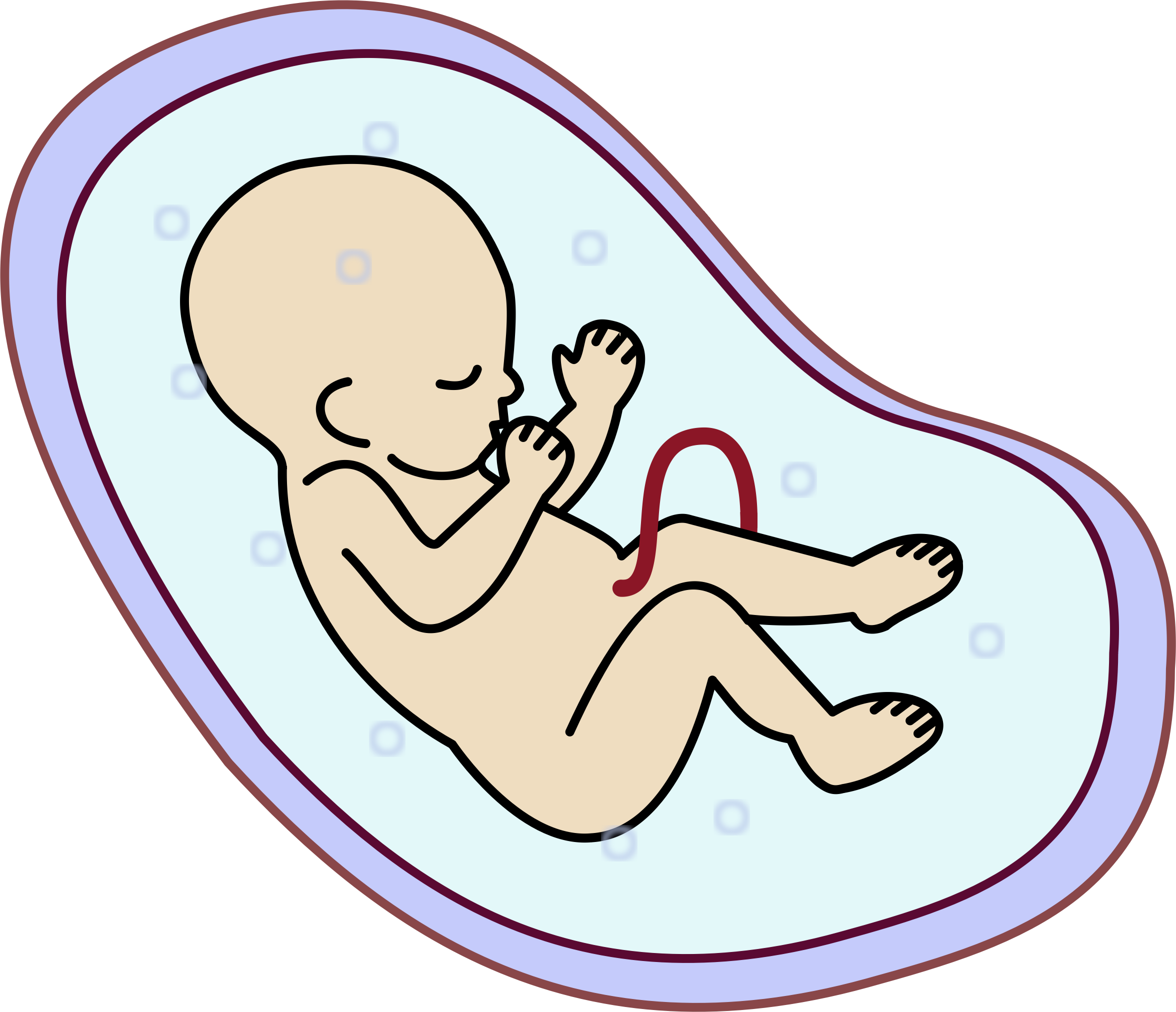 Womb Png 2352 X 2024