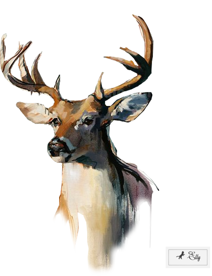 A Deer With Antlers On A Black Background