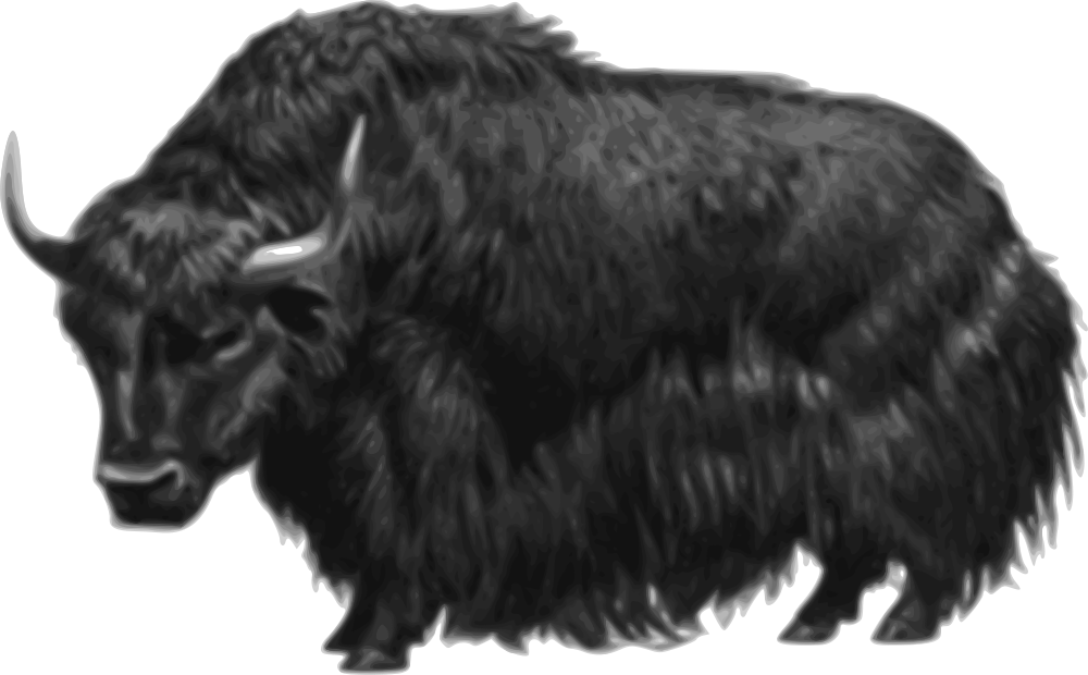A Black And White Image Of A Yak