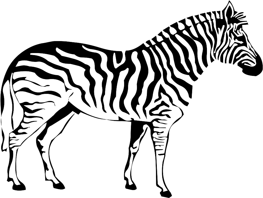 A Black And White Drawing Of A Zebra