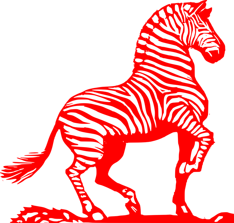 A Red And Black Zebra