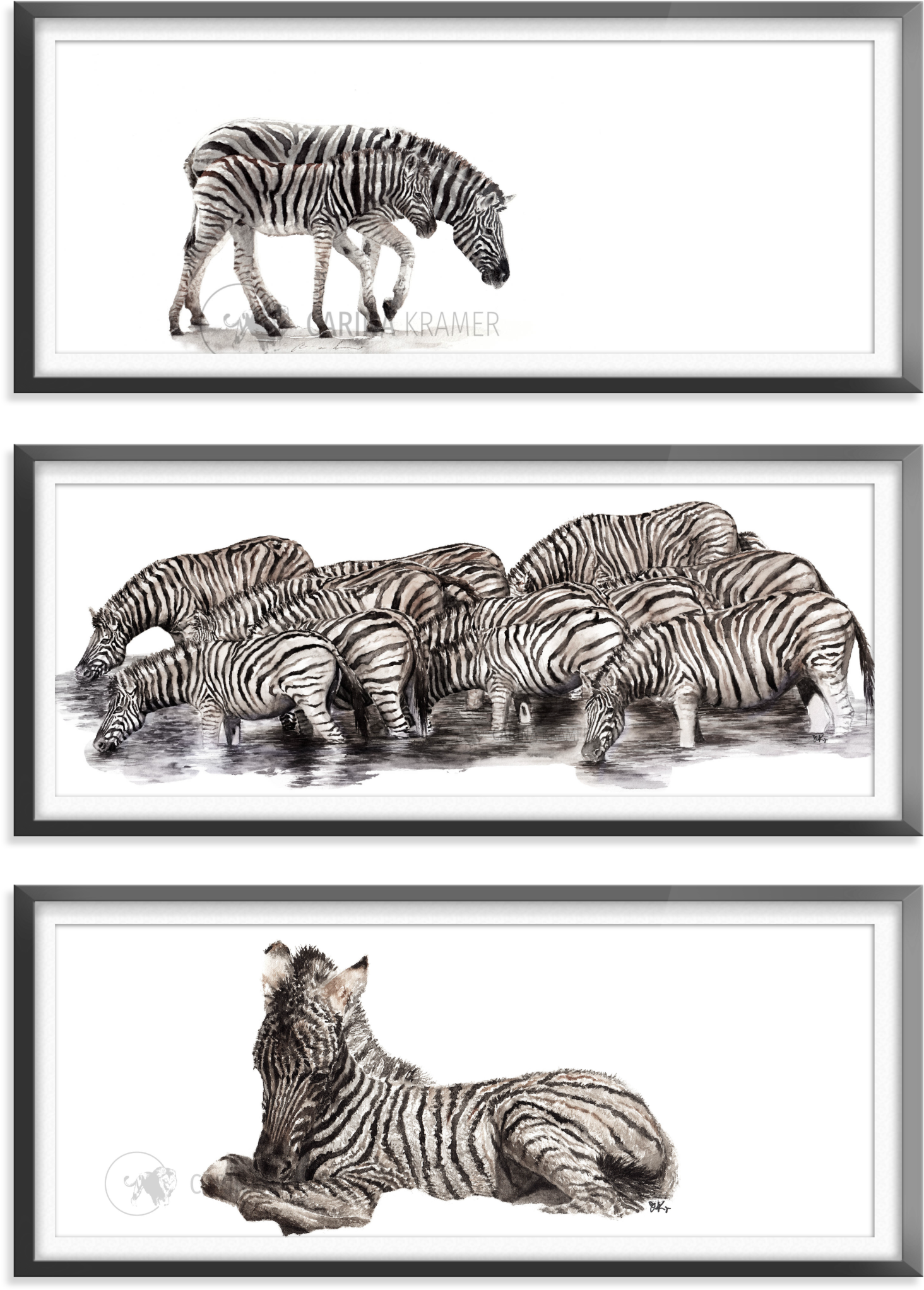 A Group Of Zebras Drinking Water