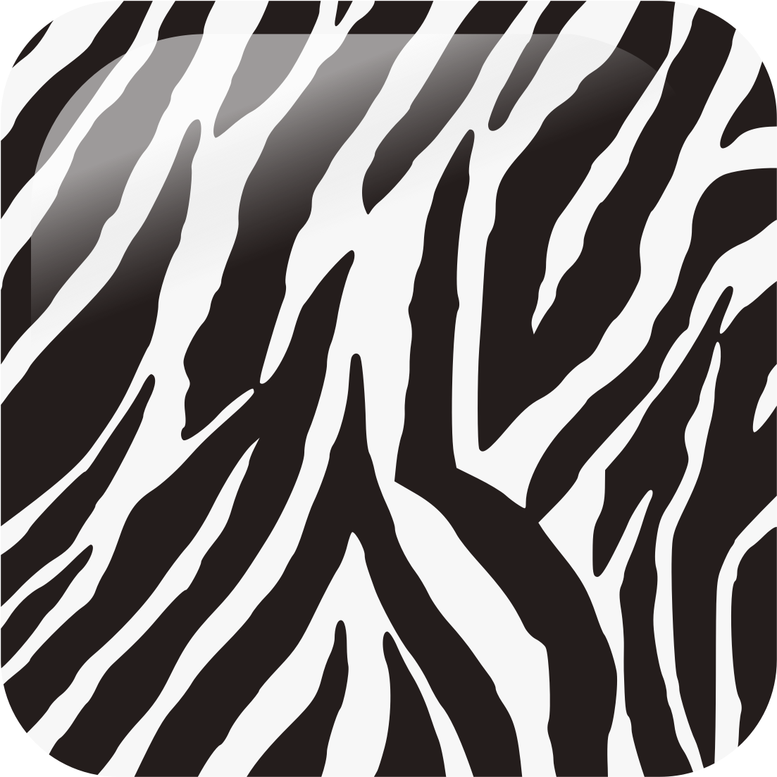 A Close-up Of A Zebra Print