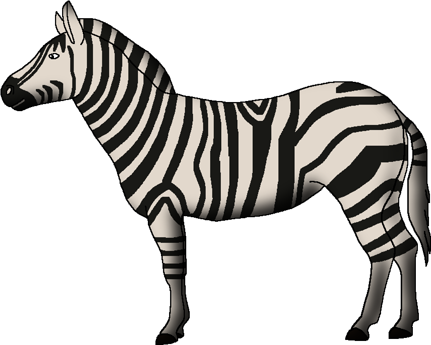 A Black And White Zebra