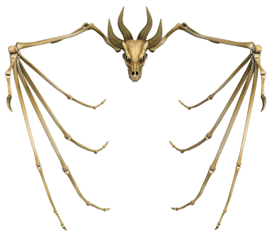 A Skeleton Of A Bat With Wings