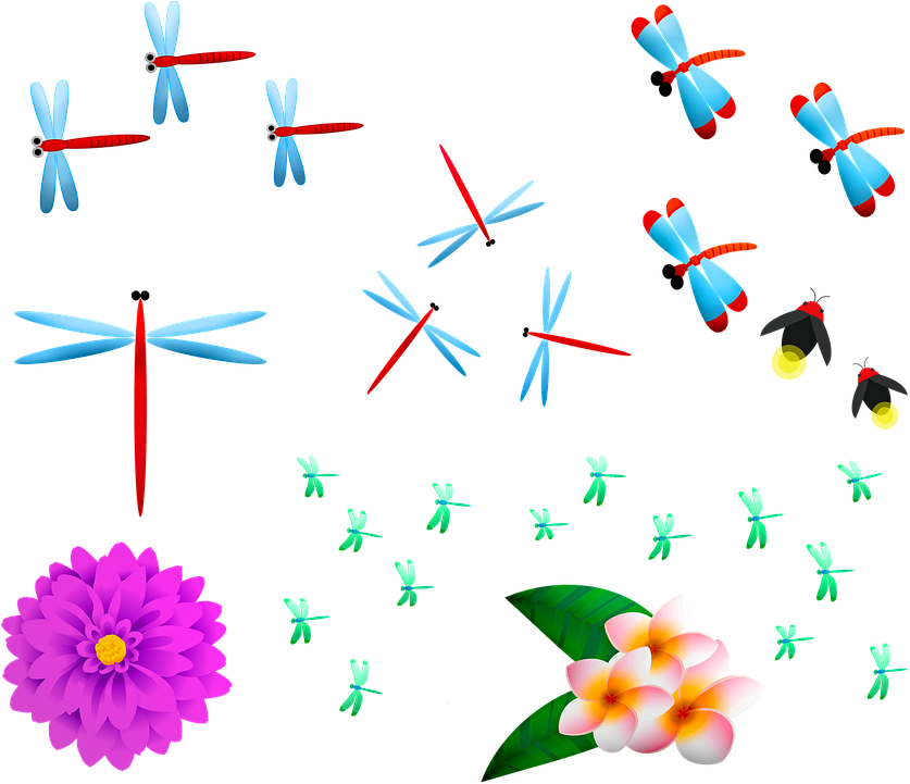 A Group Of Dragonflies And Flowers