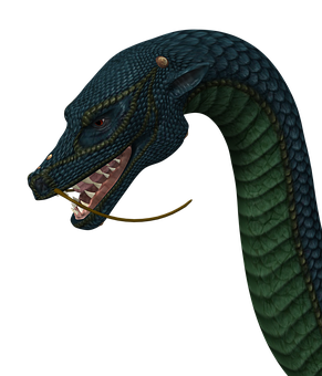 A Blue And Green Snake With A Long Neck