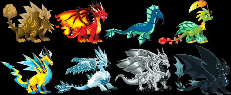 Dragon Types