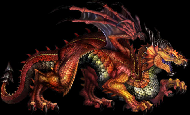 Western Red Dragon