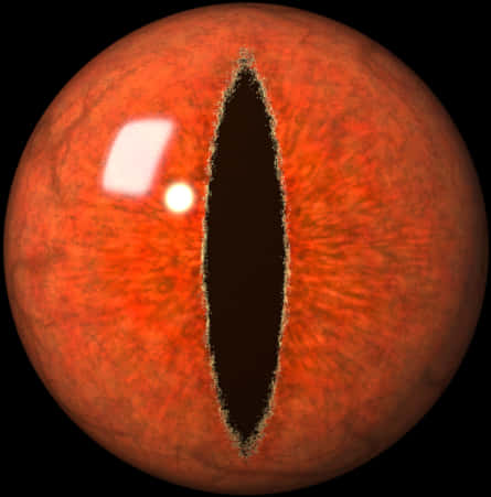 A Close Up Of An Eyeball