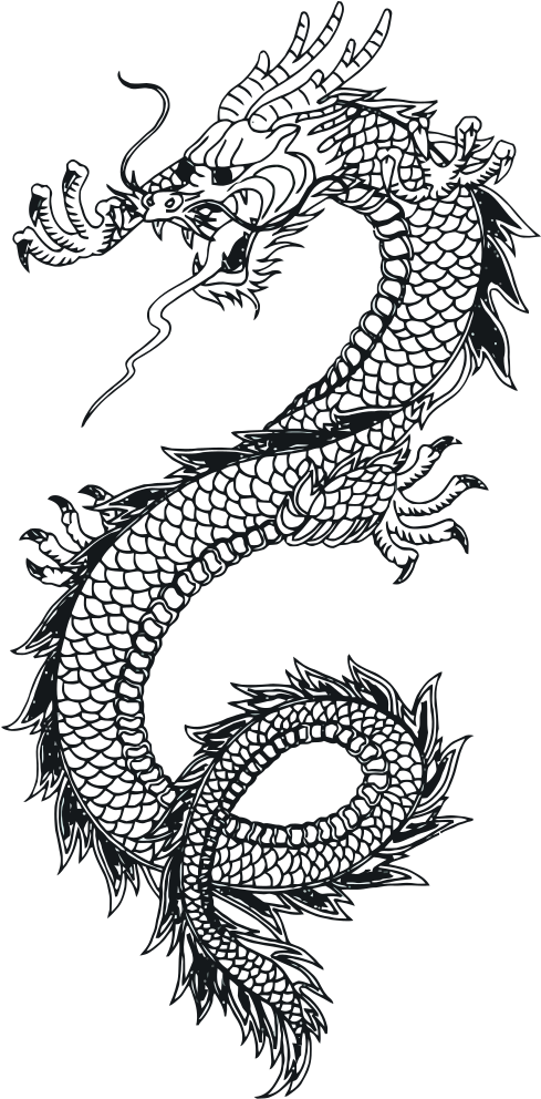 A Black And White Dragon