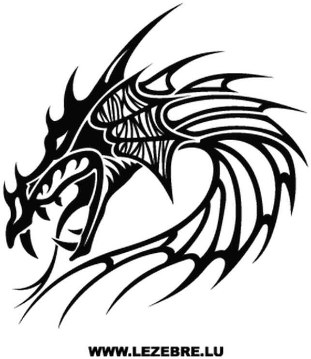 A Black Dragon With Sharp Lines