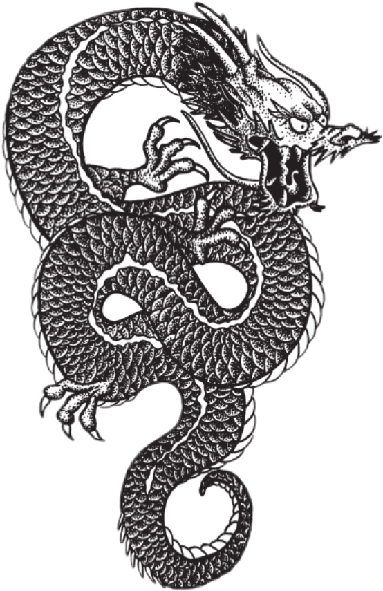 A Black And White Drawing Of A Dragon