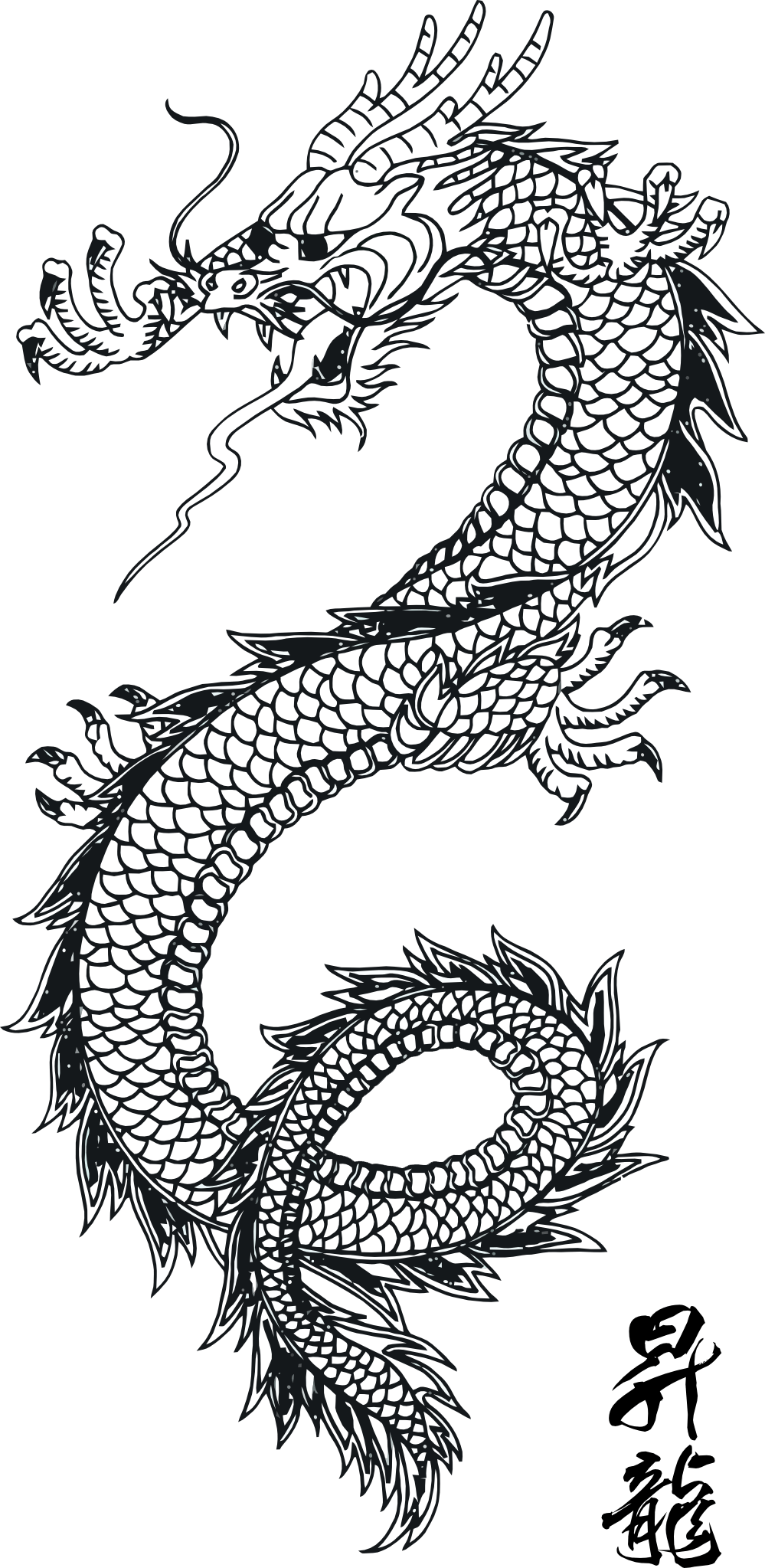 A White Dragon With Black Background