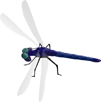 A Blue Dragonfly With Large Wings