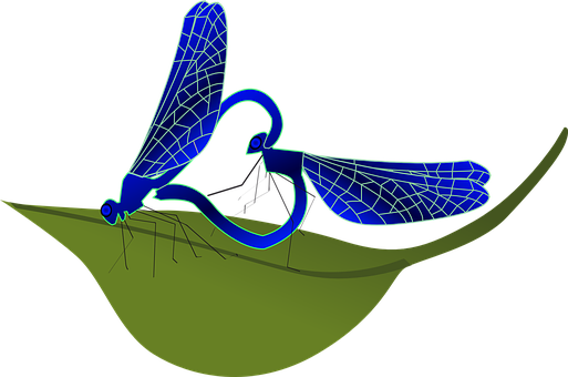 A Blue Dragonfly On A Green Leaf