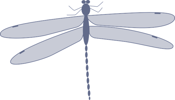 A Dragonfly With Wings And A Long Tail