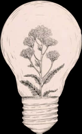A Drawing Of A Plant Inside A Light Bulb