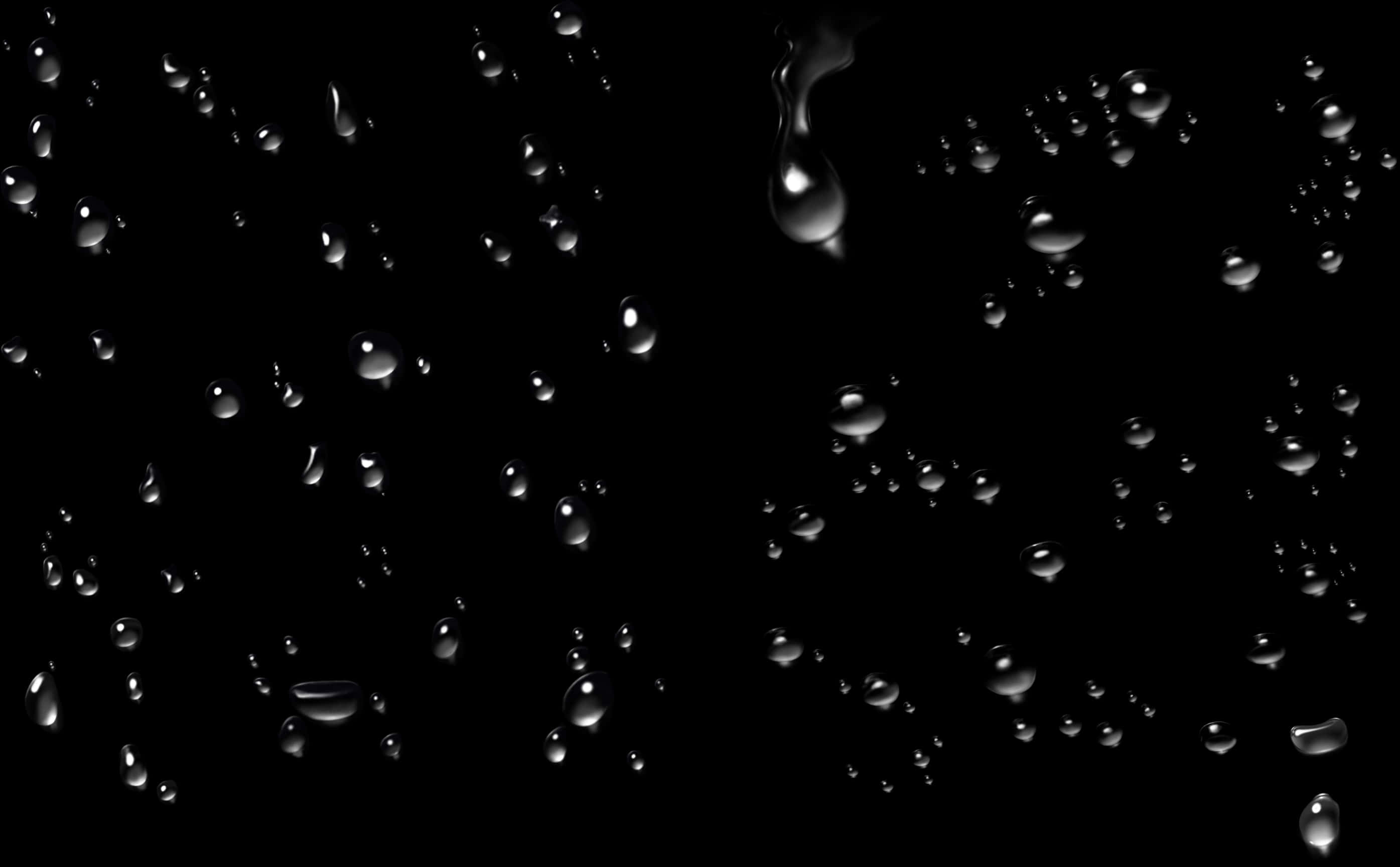A Group Of Water Drops On A Black Background