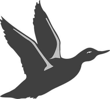 Gray Duck Flying Clipart