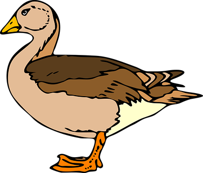 Duck Png 400 X 340