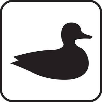 A Black Duck In A White Background