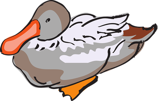 Gray Duck Cartoon