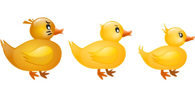 Duck Png 680 X 340