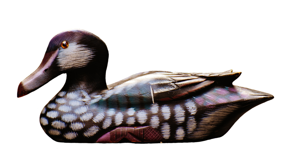 Duck Png 960 X 517