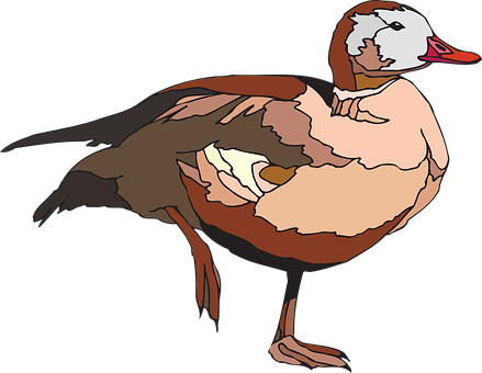 Duck Png 439 X 340