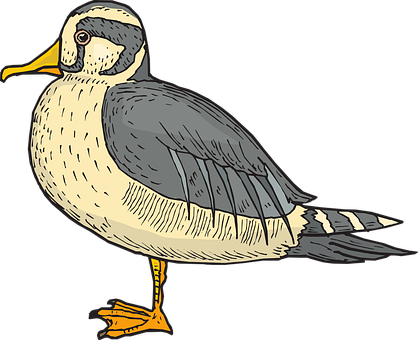 Duck Png 418 X 340