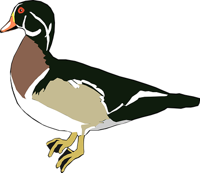 Duck Png 393 X 340