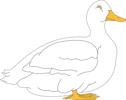 A White Duck With Yellow Feet