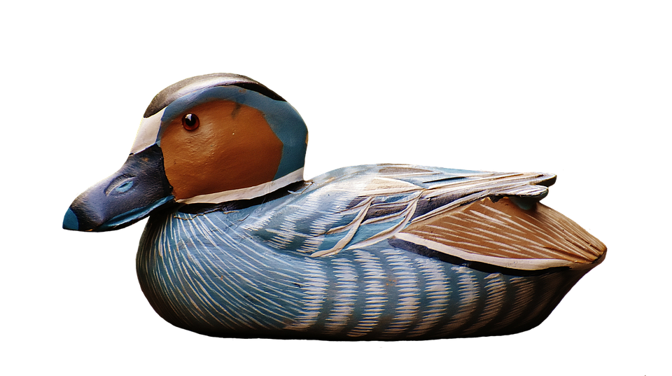 Duck Png 960 X 537