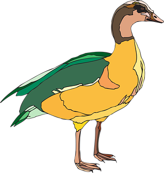 Duck Png 323 X 340