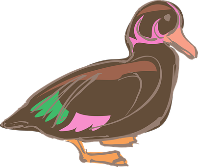 A Brown Duck With Green And Pink Feathers