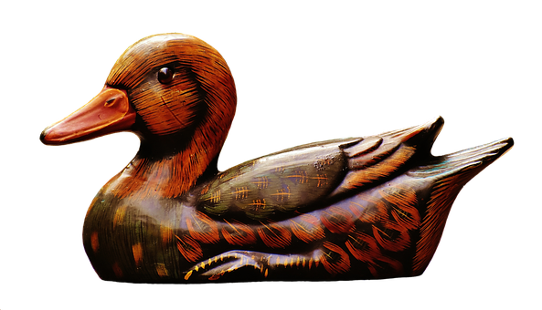 Duck Png 593 X 340
