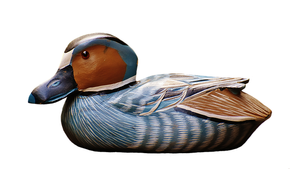 Duck Png 607 X 340