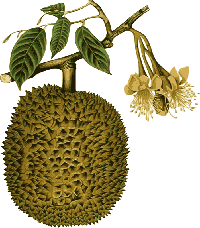 A Yellow Fruit With Green Leaves And Flowers