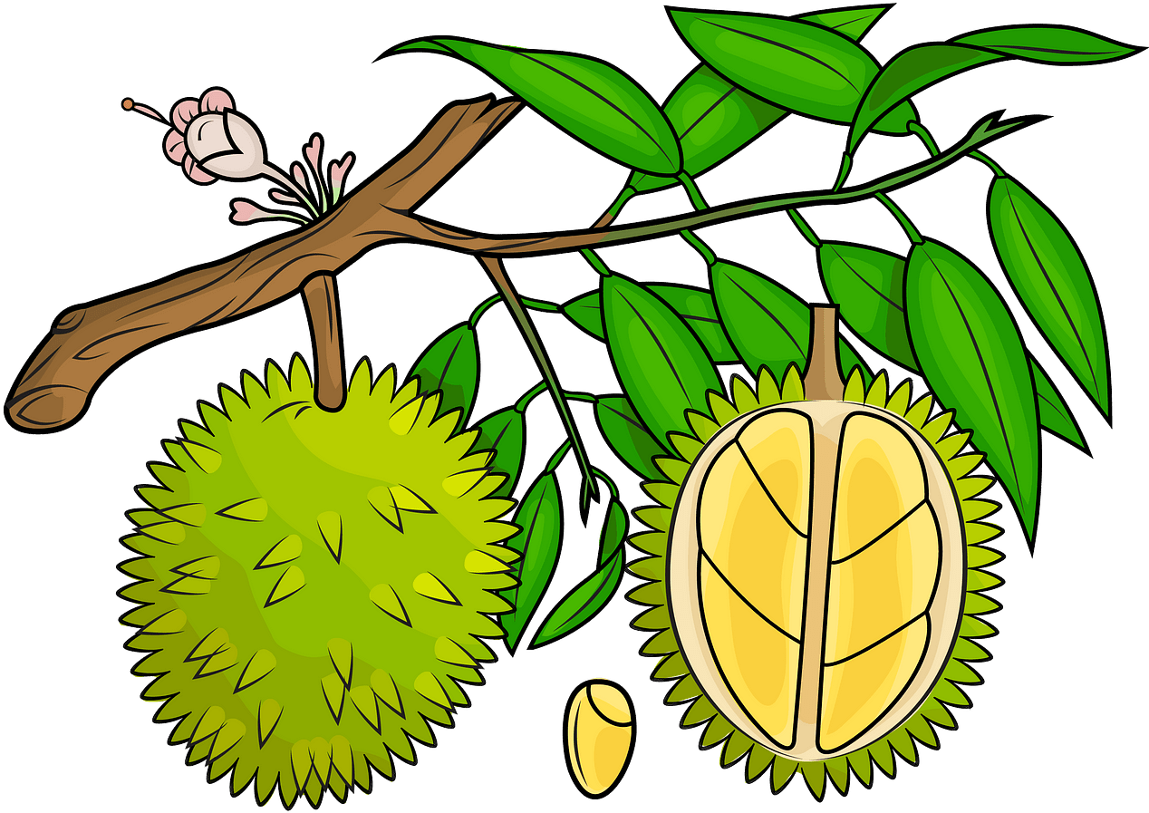 A Cartoon Of A Fruit On A Tree Branch