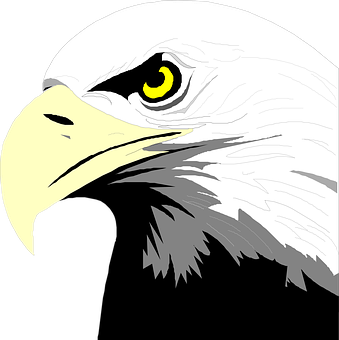 A White Eagle With Yellow Eyes