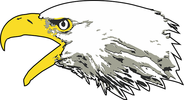 A White And Yellow Eagle Head With A Black Background