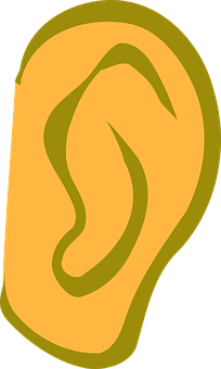 A Yellow Ear With Green Lines