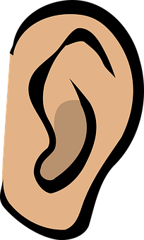 A Person's Ear With A Brown Ear