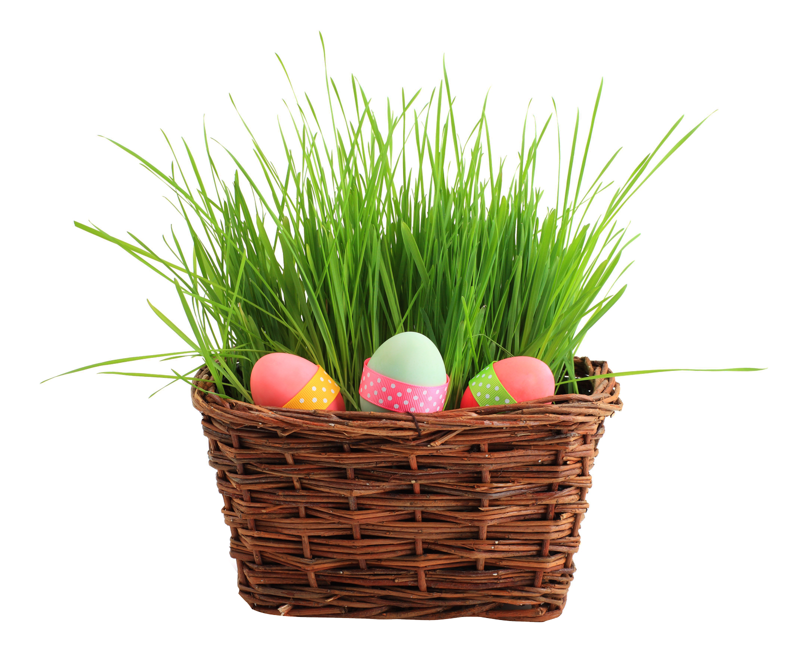 Easter Png 1600 X 1303
