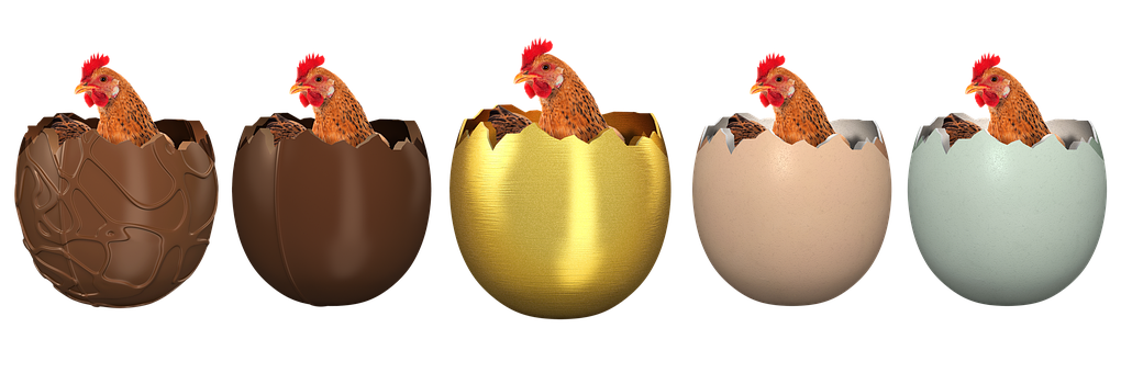 A Chicken In A Gold Egg