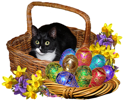 A Cat In A Basket With Colorful Eggs And Flowers