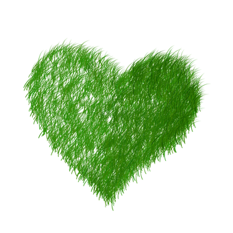 A Green Heart Shaped Object