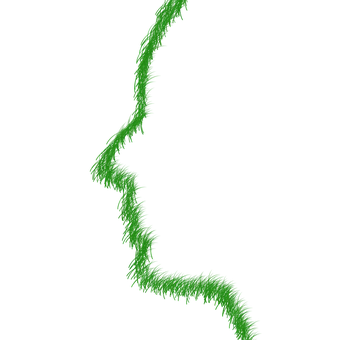A Green Line Of A Person's Face