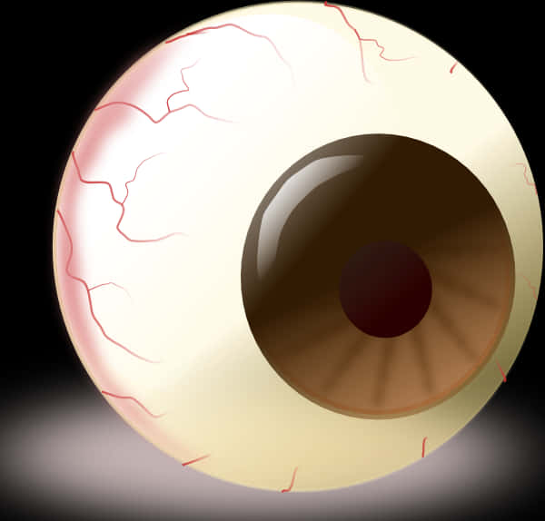 A Close Up Of A Eyeball